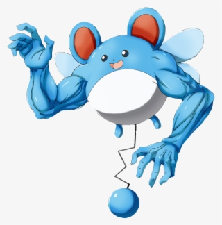 Megamarill Confirmed - Pokemon Retarded #6376293