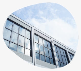 Liquid Crystal Windows Liquid Crystal Windows - Liquid #6377489