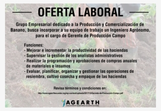 La Producción Y Comercialización De Banano, Busca Incorporar - Production #6379029