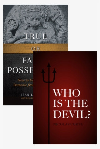 The Devil And Possession Book Cover - True And False Possession #6380402