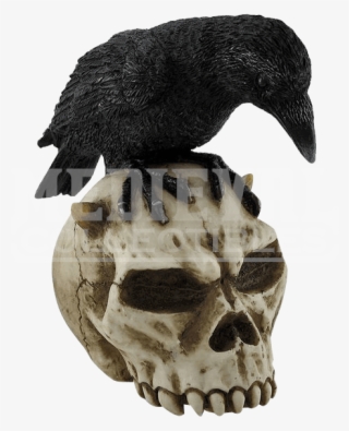 Crow On Devil Skull - Verones 4.75" Crow On Devil Skull Horned Satan Lucifer #6380611