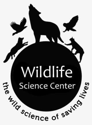 Wildlife Mn Logo 1 Format=1500w #6381107
