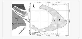 Map Of The Study Area With Sampling Sites In The Dongtan - Schwarztonnensand #6382567