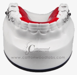 Clear Labial Bow - Bag #6383098