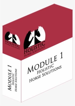 Course Outline - Course #6385184