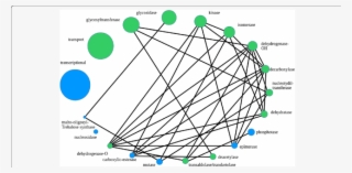 The Size Of A Bubble Corresponds To The Relative Class - Diagram #6385397