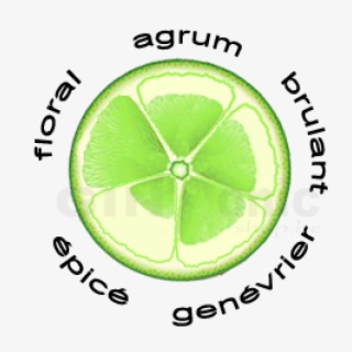 Fancybox - Gin #6387208