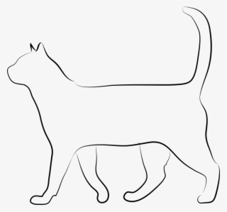 My Cat Keeps Sneezing - Kot Obrazek Do Druku #6387311