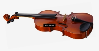 Violin Single Side - Ultimate Beginner Viola: Dvd (ultimate Beginner) #6387958