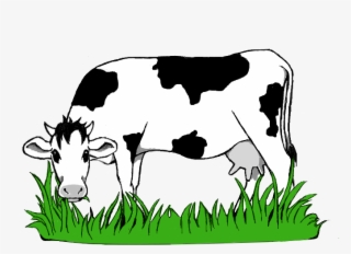 Black And White Stock Collection Of Grazing High Quality - Cow Grazing Clipart #6388770