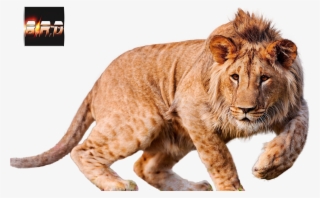 Baixar Renders Do Dimy - Lg 49uf680v - 49" Led Smart Tv - 4k Ultrahd #6391414