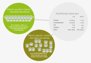 Ingredients - Circle #6391875