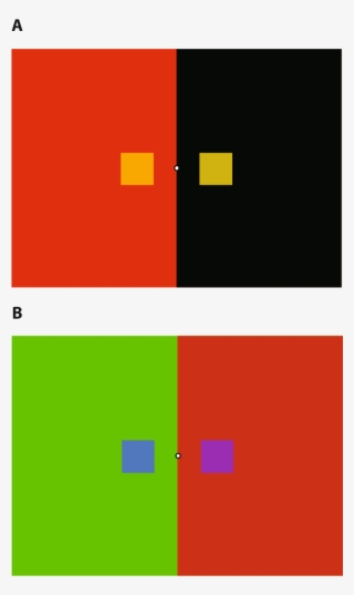 Compare The Direct Images By Fixating On The Small - Graphic Design ...
