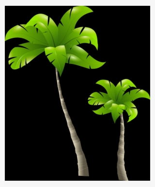 Palm Tree, Free Pngs - Wurfskissen Entkernen Vögel Kissen #6394201