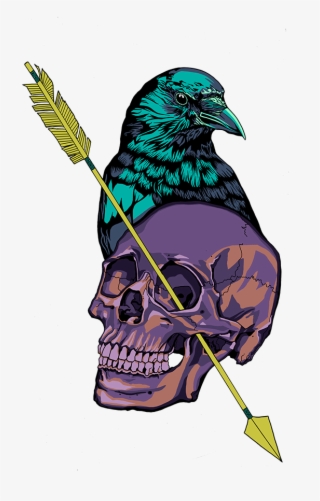 Crow And Skull Illustration - Illustration #6396834