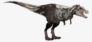 Tyrannosaurus V2 J #6397064 Tyrannosaurus V2 J #6397064