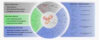 Abstract - Circle #6398459