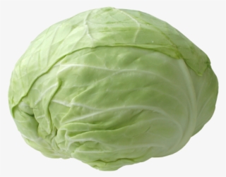 Cabbage Plan View Png Freeuse Stock - Repolho Em Png Transparente #6398717