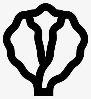 The Image Is An Outline Of A Single Head Of Lettuce - Icon #6398992