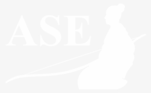 Bush - The Dark Night Of America #640018