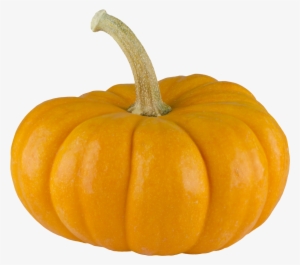 Pumpkin Png Transparent Pumpkin - Transparent Background Pumpkin Png #640020