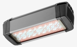 Fl300 Grow White - Grow Light #640540