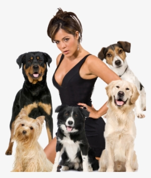 Sexy Latina And Dogs - Smartest Dog In The World #641581