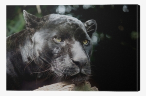 First Wall Art - Black Panther Over Wood Wall Art Painting #643846