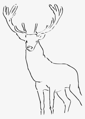 Stag Clipart Drawn - Stag Clip Art #644744