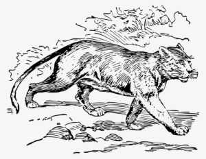Jaguar Png Clipart - Animal Outline Art #645183