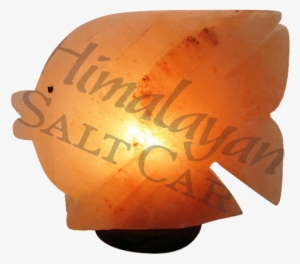 Fish Lamp - Fish #645860