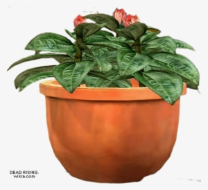 Dead Rising Potted Plant - Potted Plants Transparent Png #645938