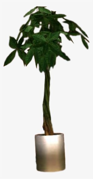 Dead Rising Potted Plant - Potted Plant Png Transparent Background #646111