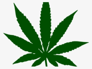 Drawn Pot Plant Transparent - Weed Leaf Transparent Background #646529