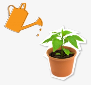 Potted Plants Free On Dumielauxepices Net - Watering Potted Plant #646829