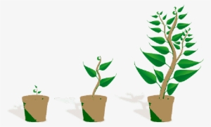 Mb Image/png - Getting To Know Plants #647216