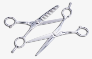 Scissors #647382