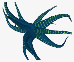 See Hi-res Anemone And - Anemone Transparent Background #647444