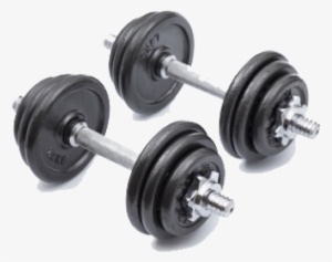 Dumbbell #648121