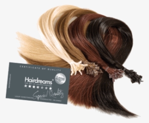 Haarfarben In Bester 7 Sterne Echthaar-qualität Von - Haarverlängerung Hairdreams Farbe 08 #648392