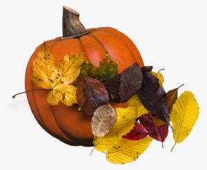 Give Thanks Ll2 - Jack-o'-lantern #648479