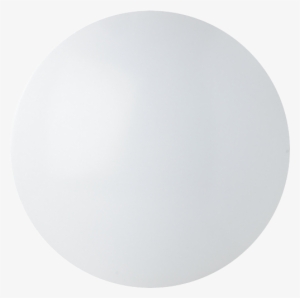 F50500sm - Transparent Twitter Egg Logo #649133