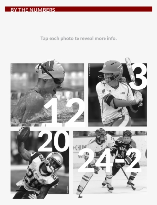 Inside Softball - Baseball Player #6401603