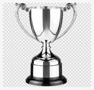 Trophy Silver #6401932