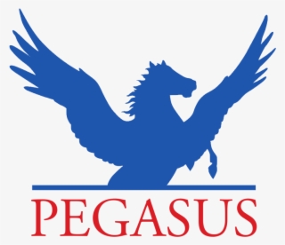 Horse Riding Pegasus Act Open Day - Pegasus Communications #6402291