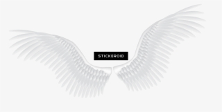 White Angel Wings Fantasy Religion #6402612