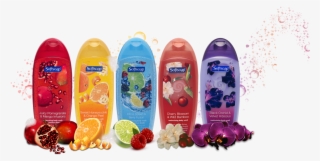 The Bottle Front Reads #6403193