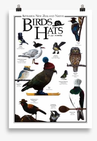 Aotearoa New Zealand Native Birds In Hats - African Grey #6404840