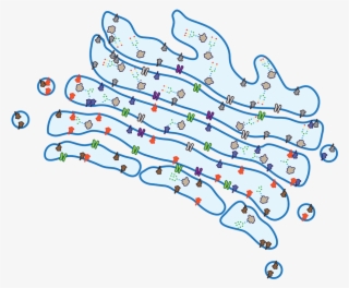 The Golgi Apparatus Has Long Been Studied As A Key - Glycosylation In Golgi Apparatus #6405742