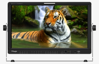 Tvlogic, Designer And Manufacturer Of Lcd And Oled - Tv Logic Lvm-170a 17" Full Hd Multi Format Lcd Monitor #6405907